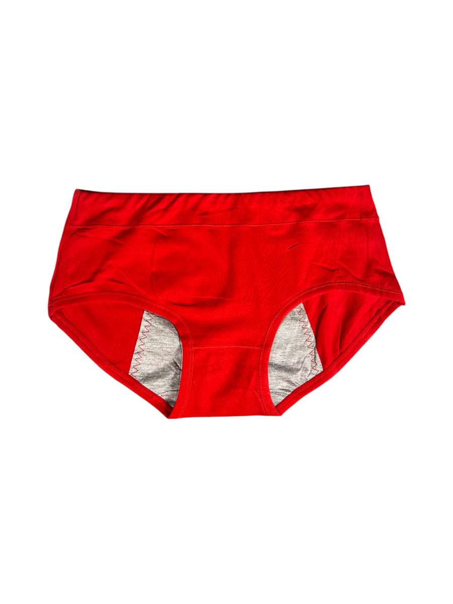 Leak Proof Double Layered Period Underwear (Pack of 3)