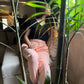 High Quality Fleece Trousers - Pink