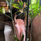 High Quality Fleece Trousers - Pink
