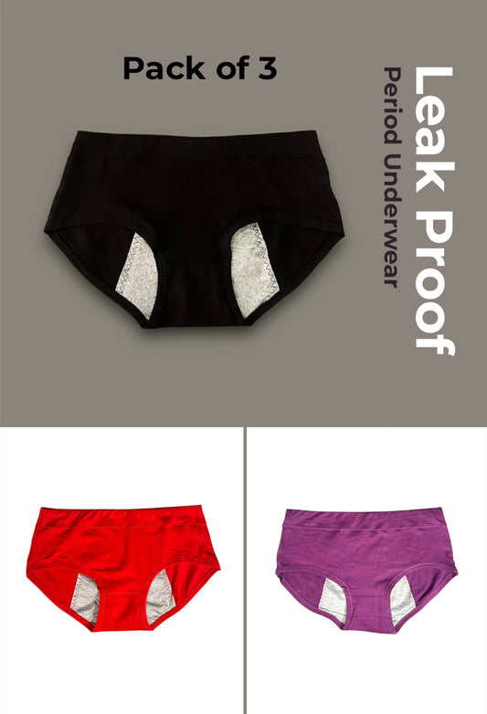 Leak Proof Double Layered Period Underwear (Pack of 3)