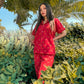 Premium Pima Cotton Button-Down Printed Shirt & PJ Set - Blue