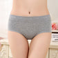 Super Soft Cotton High Waist Leak Proof Period Panties-Purple
