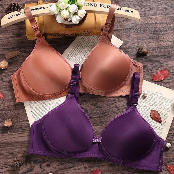 Pack Of 2 (Purple & Rust) - Clarkia Padded Non Wired Bra