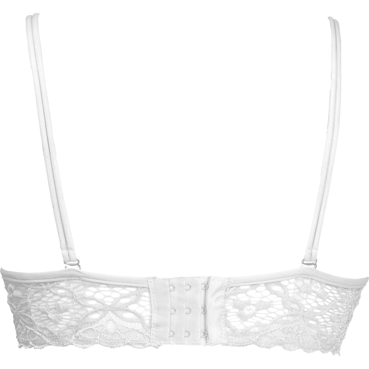 Maroon Medusa Padded Balconette Bra - Espicopink