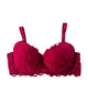 Maroon Padded Mesh Bra